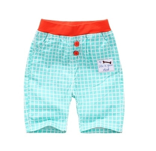 Cyan & White Checked Shorts with Puppy Print